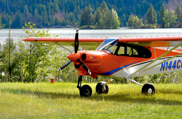 XCub 2 copy